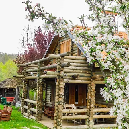 Brvnara Dragce Apartament *