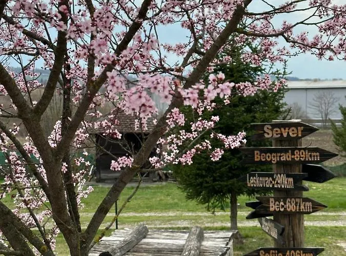 公寓 Brvnara Dragce *