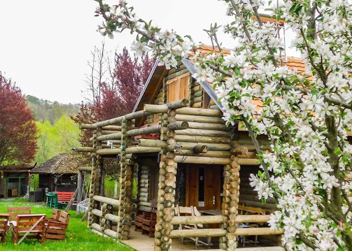 Brvnara Dragce 公寓 *